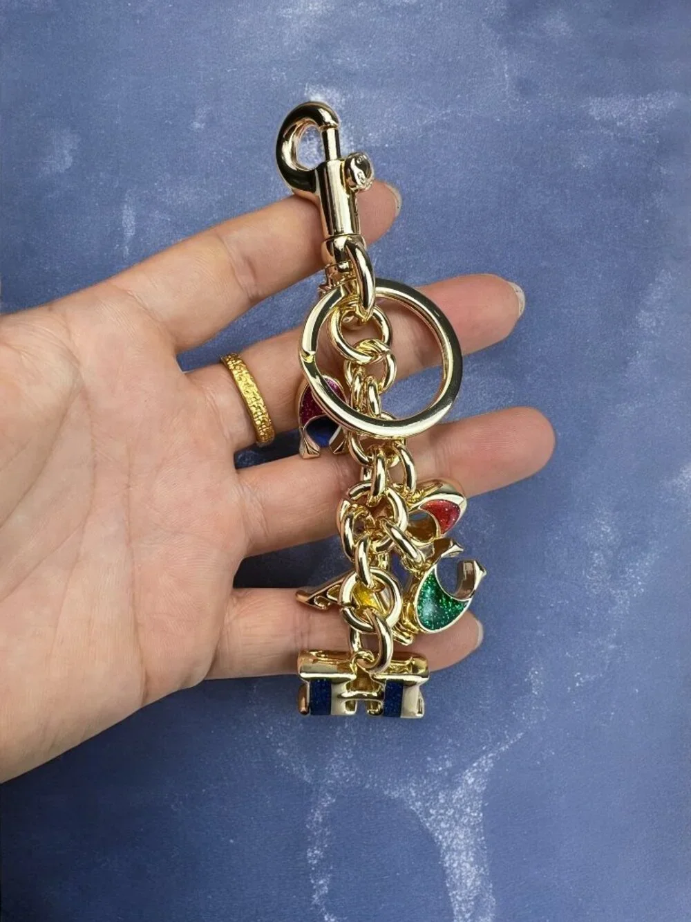 🌸Coach Multicolor Key Holder with Gold Accents